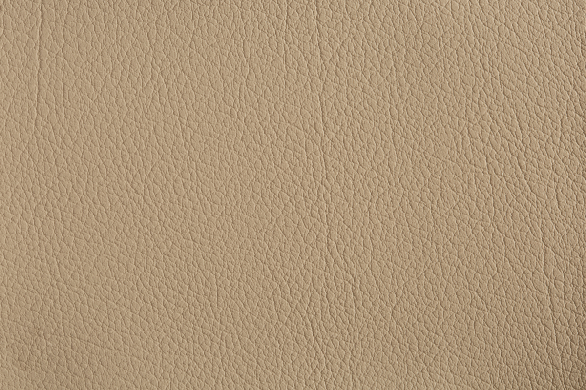 color-en-03-beige