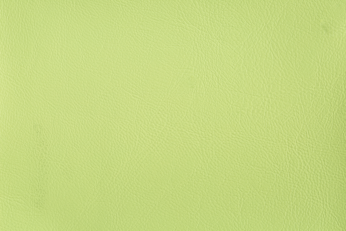 color-en-05-pistachio