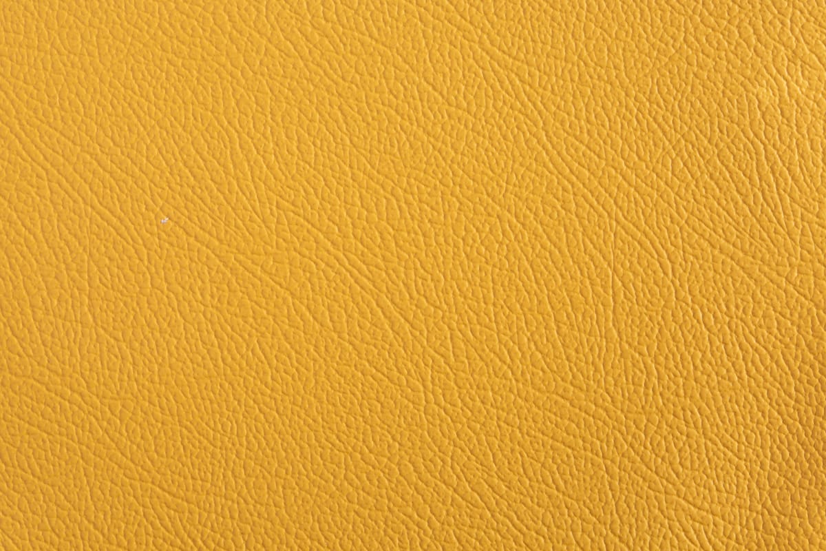 color-en-06-mustard