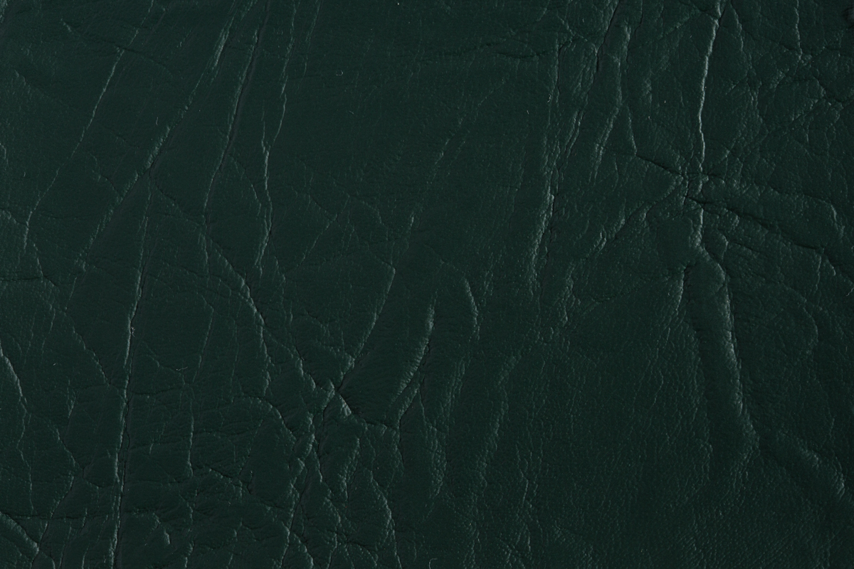 color-en-10-dark-green