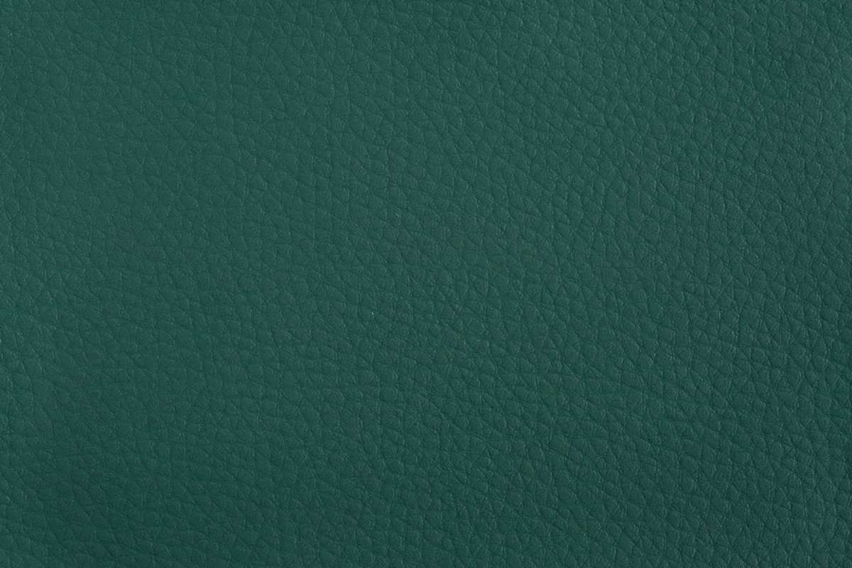 color-en-14-dark-green