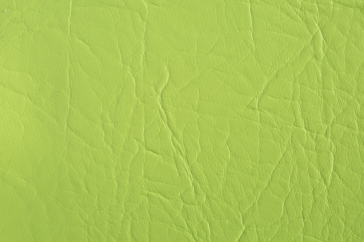 color-en-19-pistachio-1