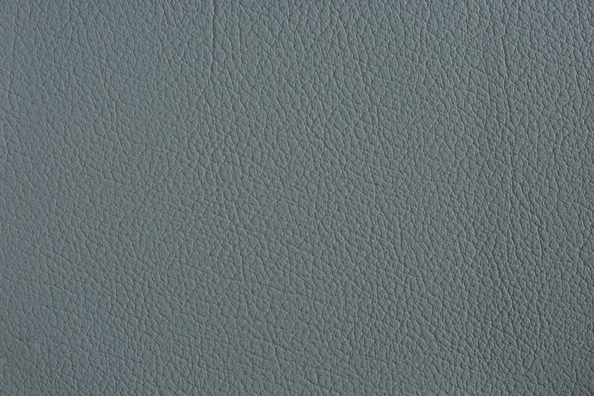 color-en-20-platinum