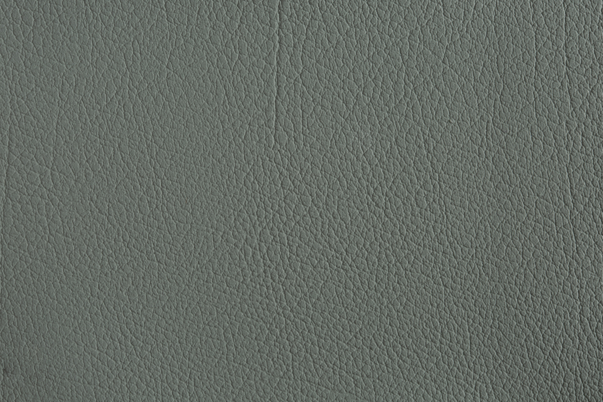 color-en-21-lead-grey